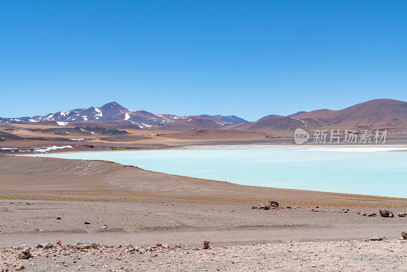 Laguna Tuyajto - San Pedro de Atacama, Antofagasta Region, 智利